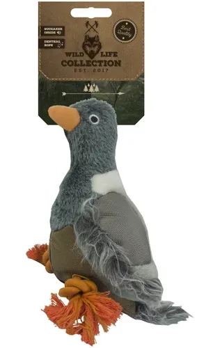 wild0041-wild-life-dog-pigeon-duif